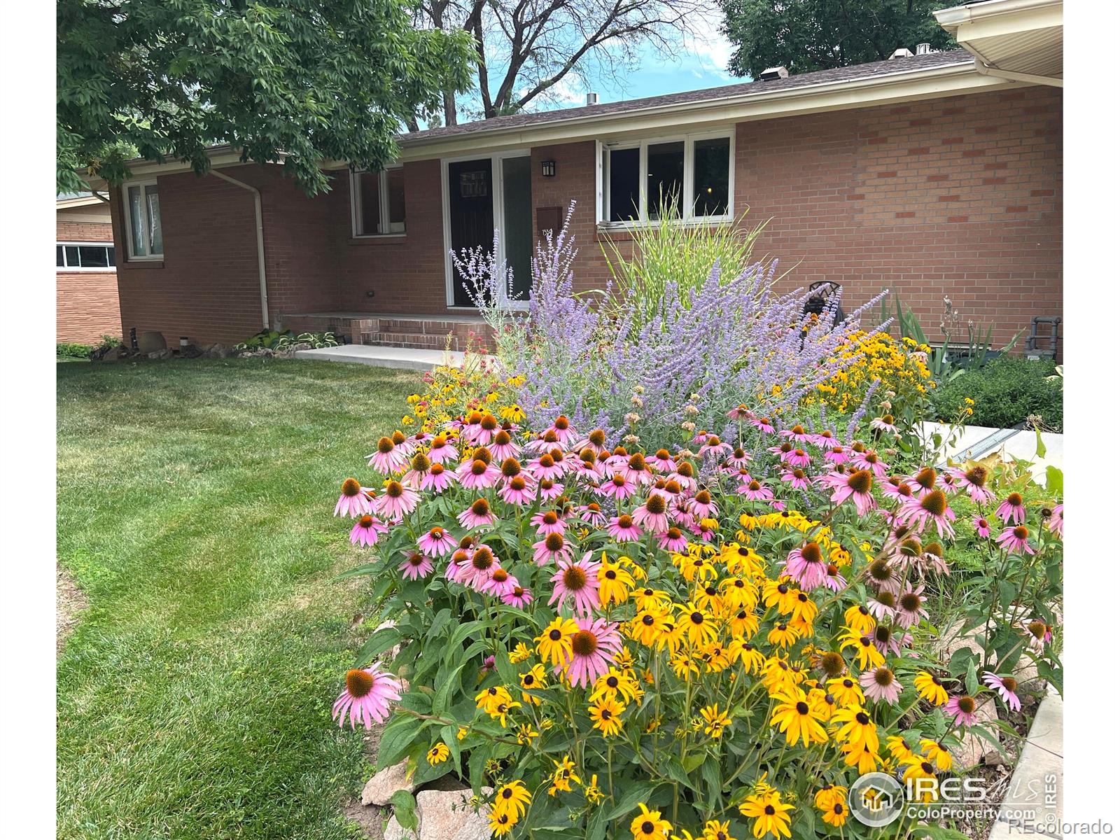 1330 W 6th Street Loveland CO 80537