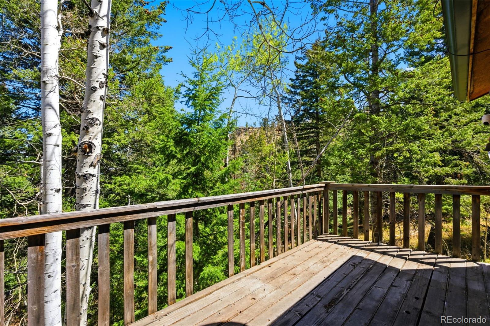 10215 Crystal Drive Morrison CO 80465