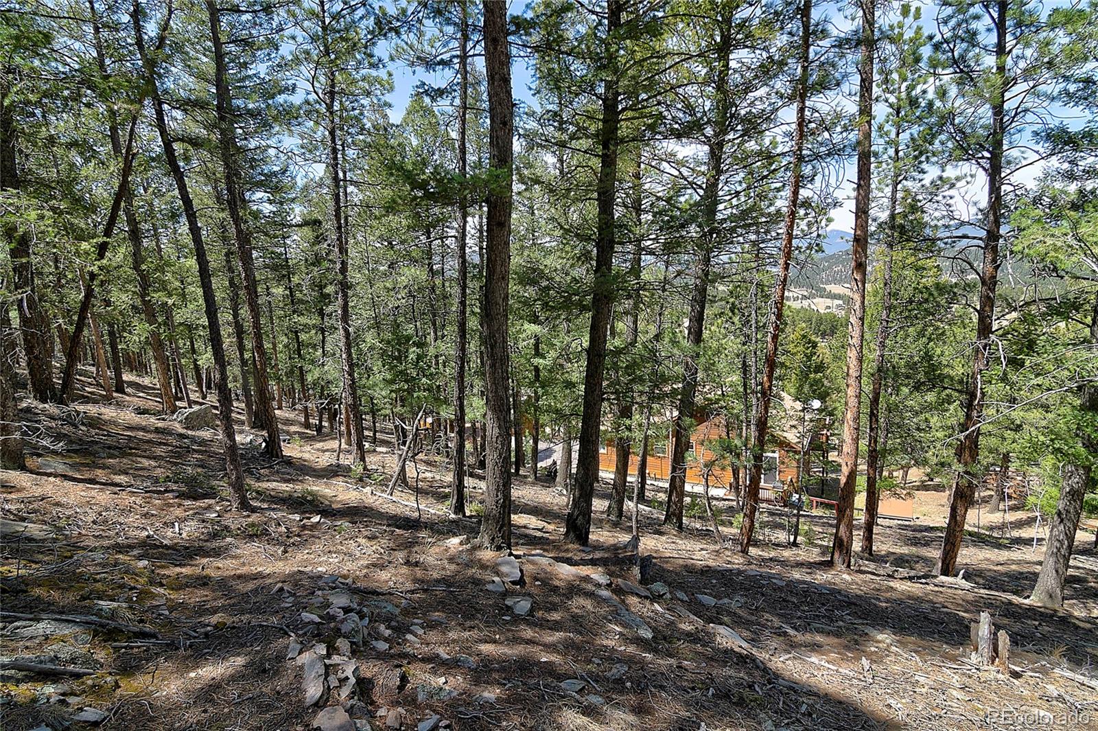 434 S Random Road Bailey CO 80421