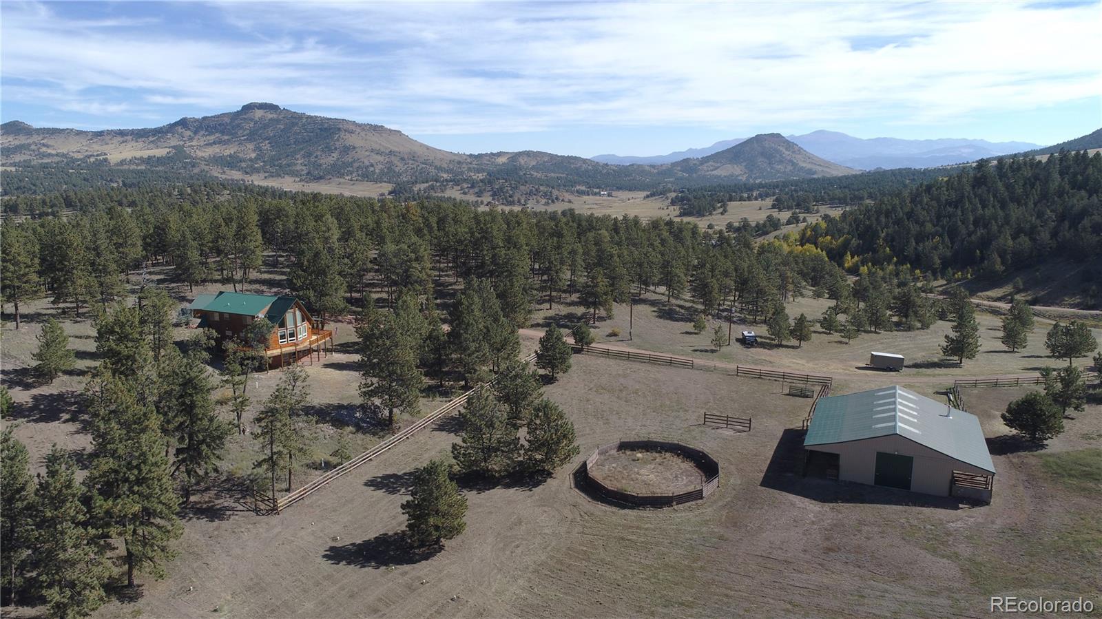 1321 Bristlecone Road Guffey CO 80820