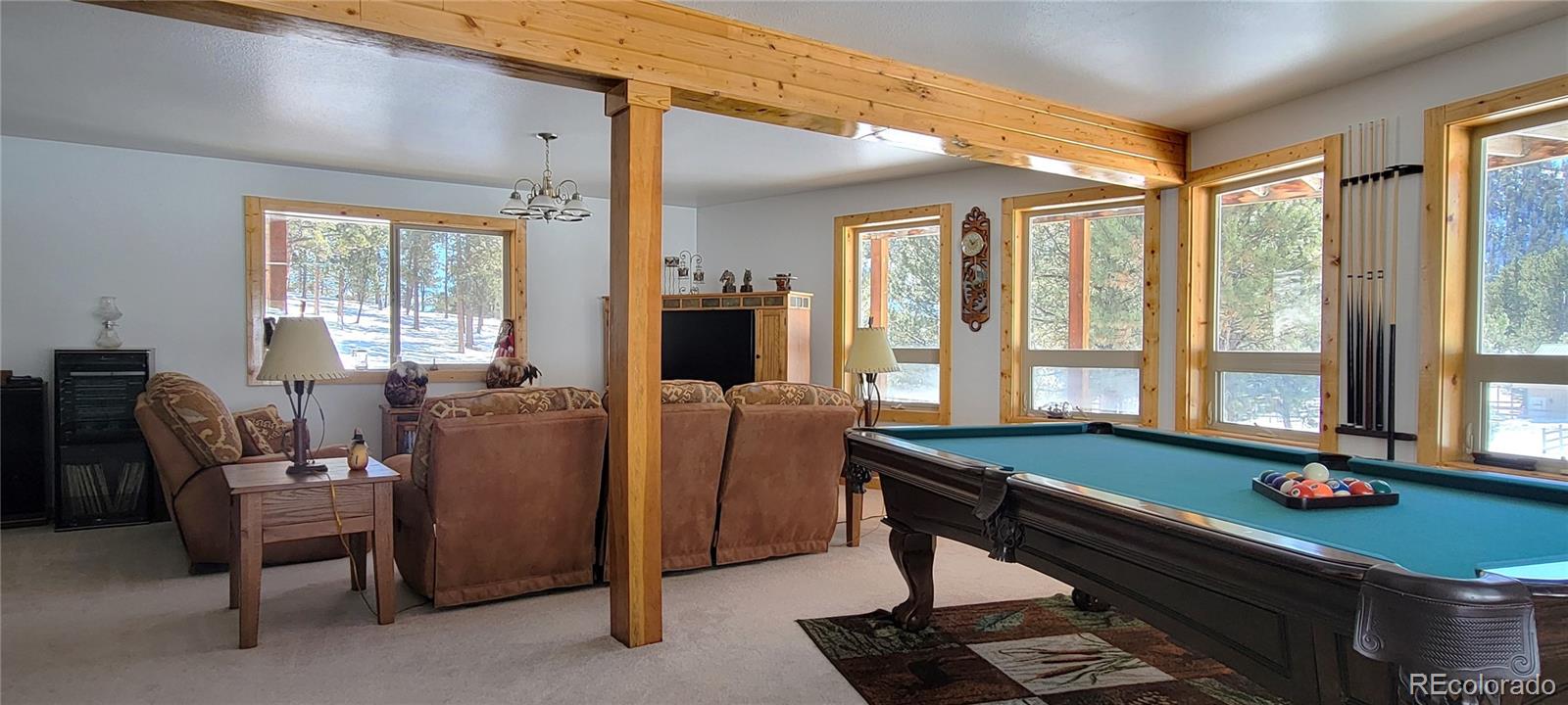 1321 Bristlecone Road Guffey CO 80820