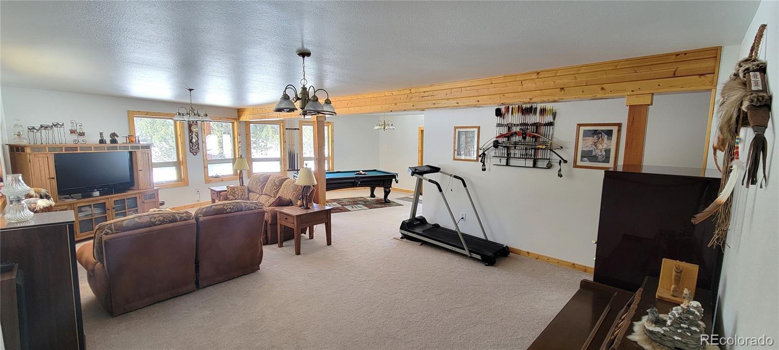 1321 Bristlecone Road Guffey CO 80820