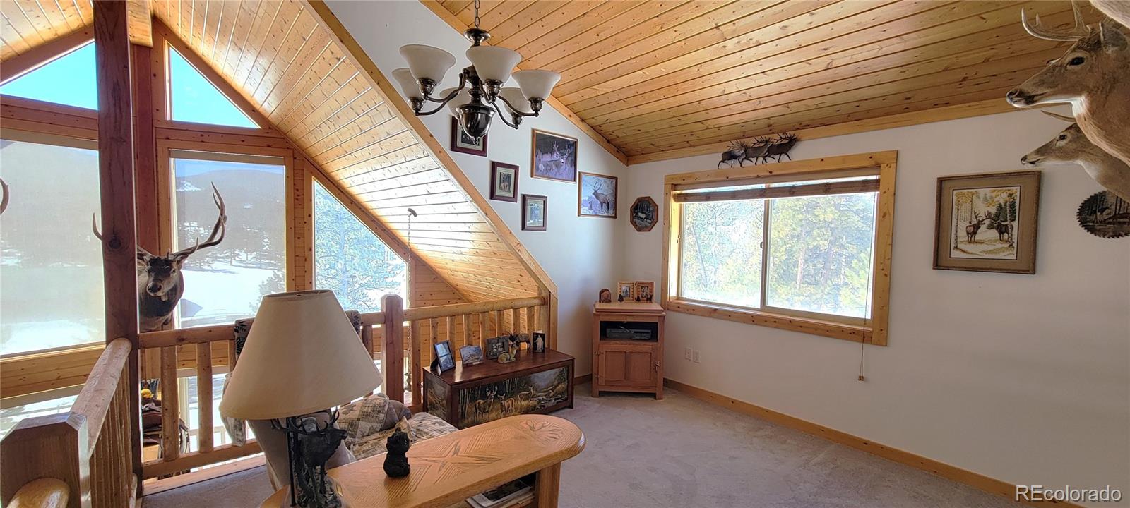 1321 Bristlecone Road Guffey CO 80820