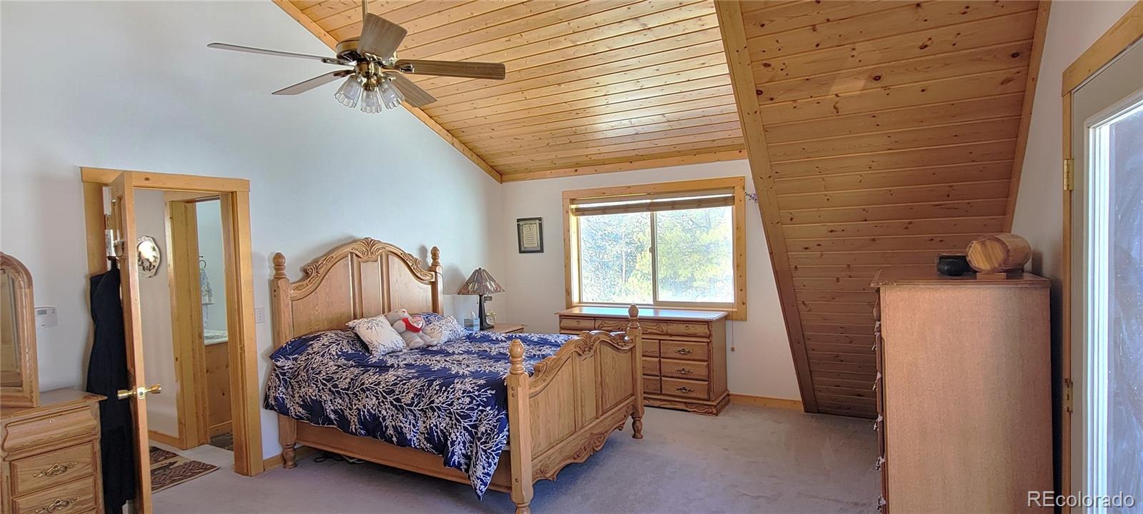 1321 Bristlecone Road Guffey CO 80820