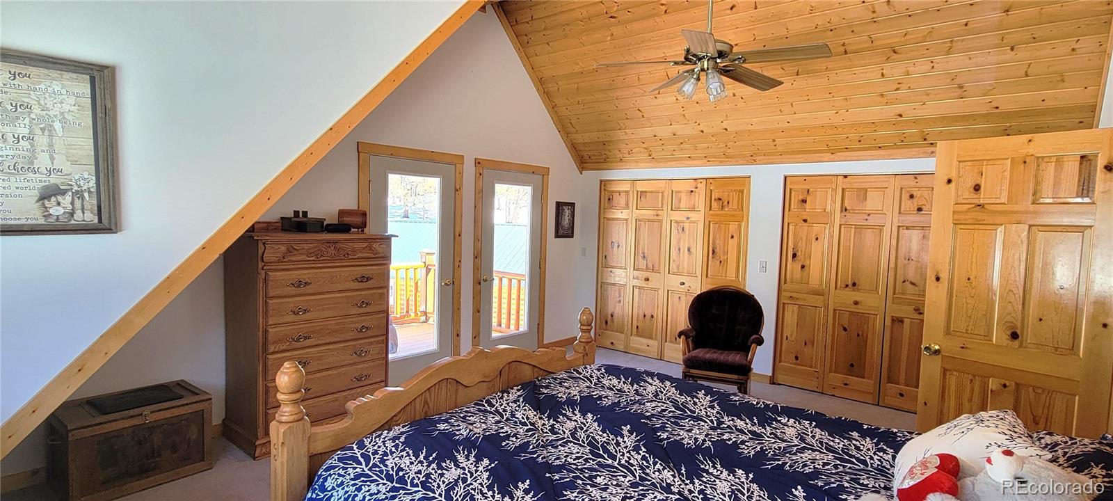 1321 Bristlecone Road Guffey CO 80820