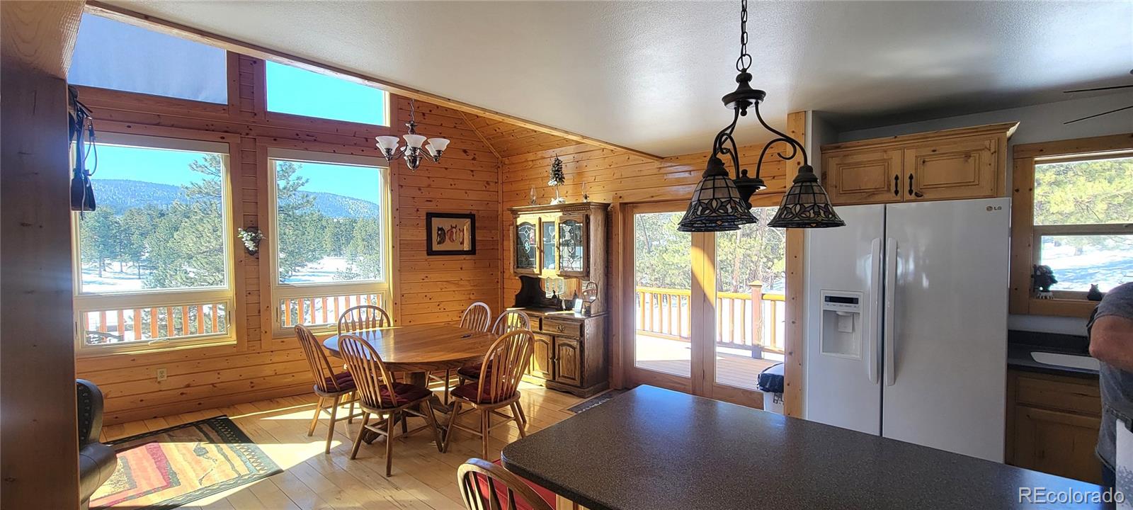 1321 Bristlecone Road Guffey CO 80820