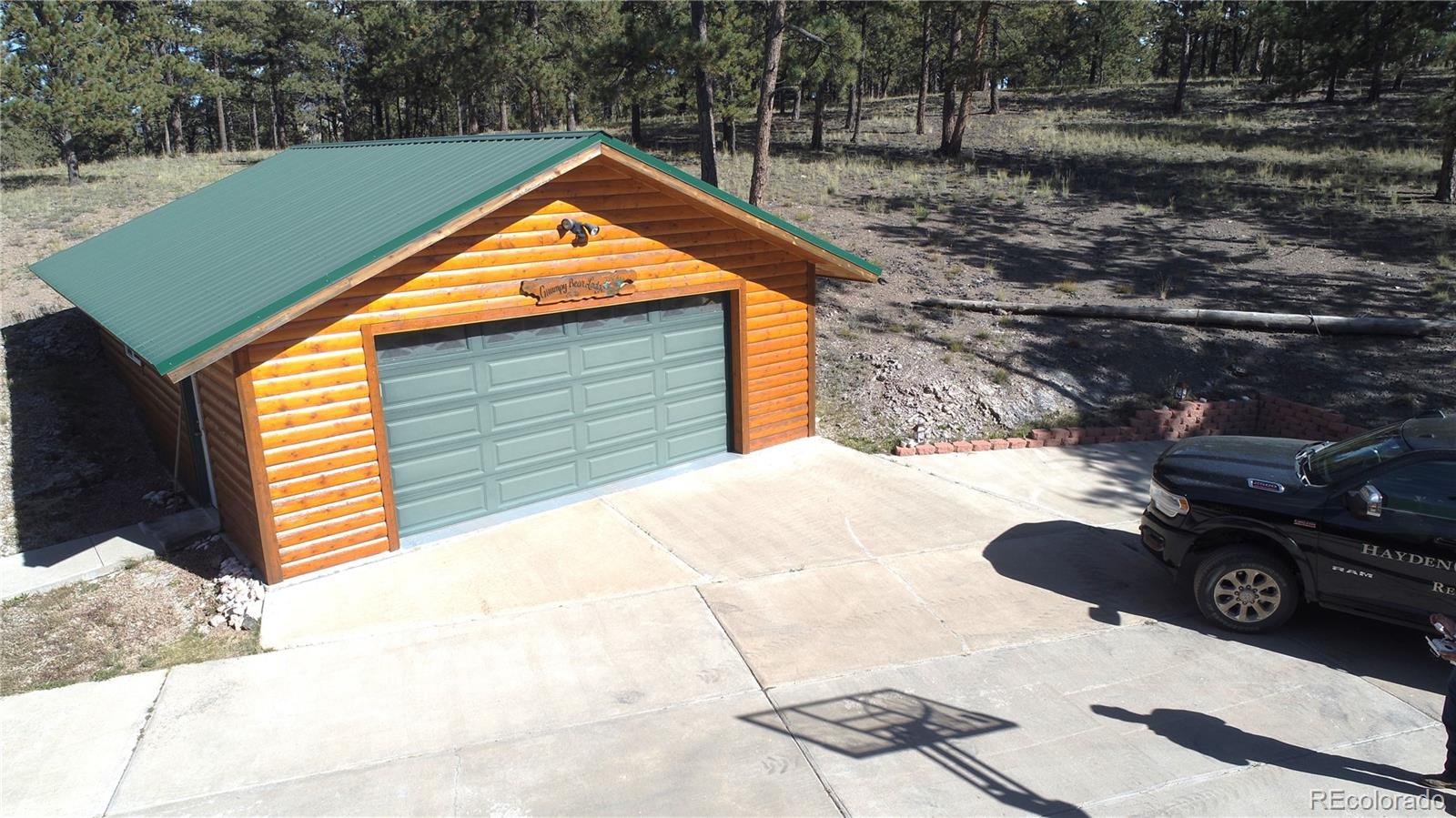 1321 Bristlecone Road Guffey CO 80820
