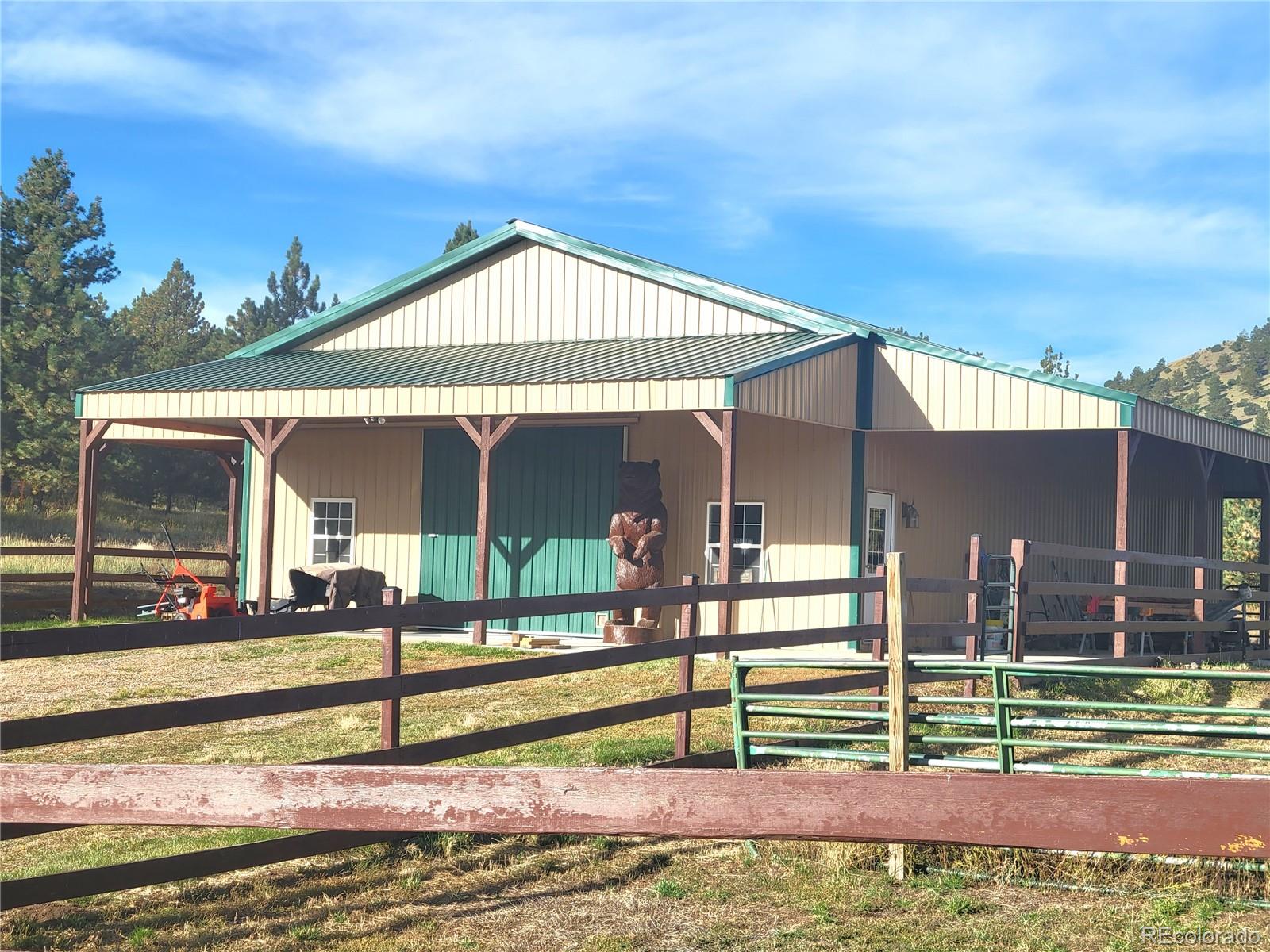 1321 Bristlecone Road Guffey CO 80820