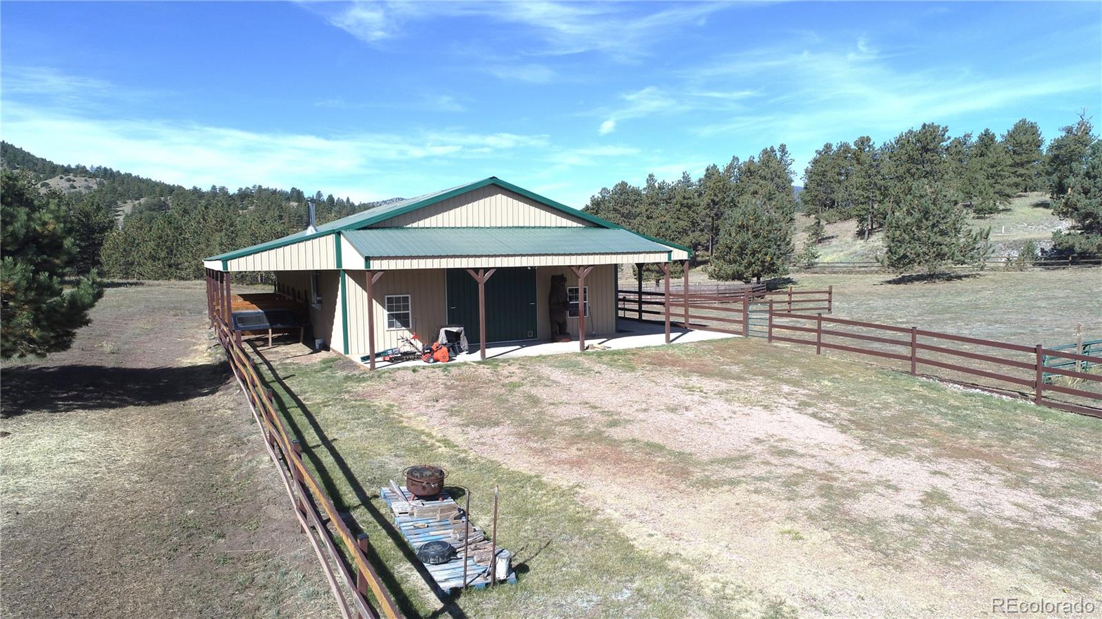 1321 Bristlecone Road Guffey CO 80820
