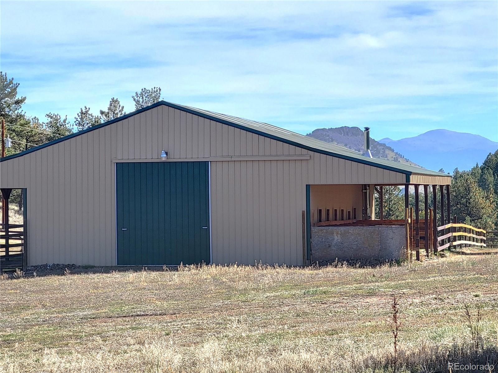 1321 Bristlecone Road Guffey CO 80820