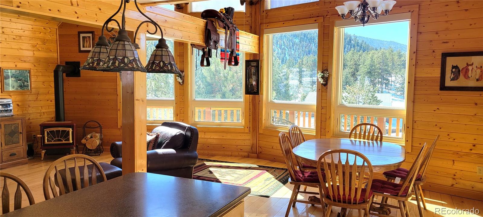 1321 Bristlecone Road Guffey CO 80820