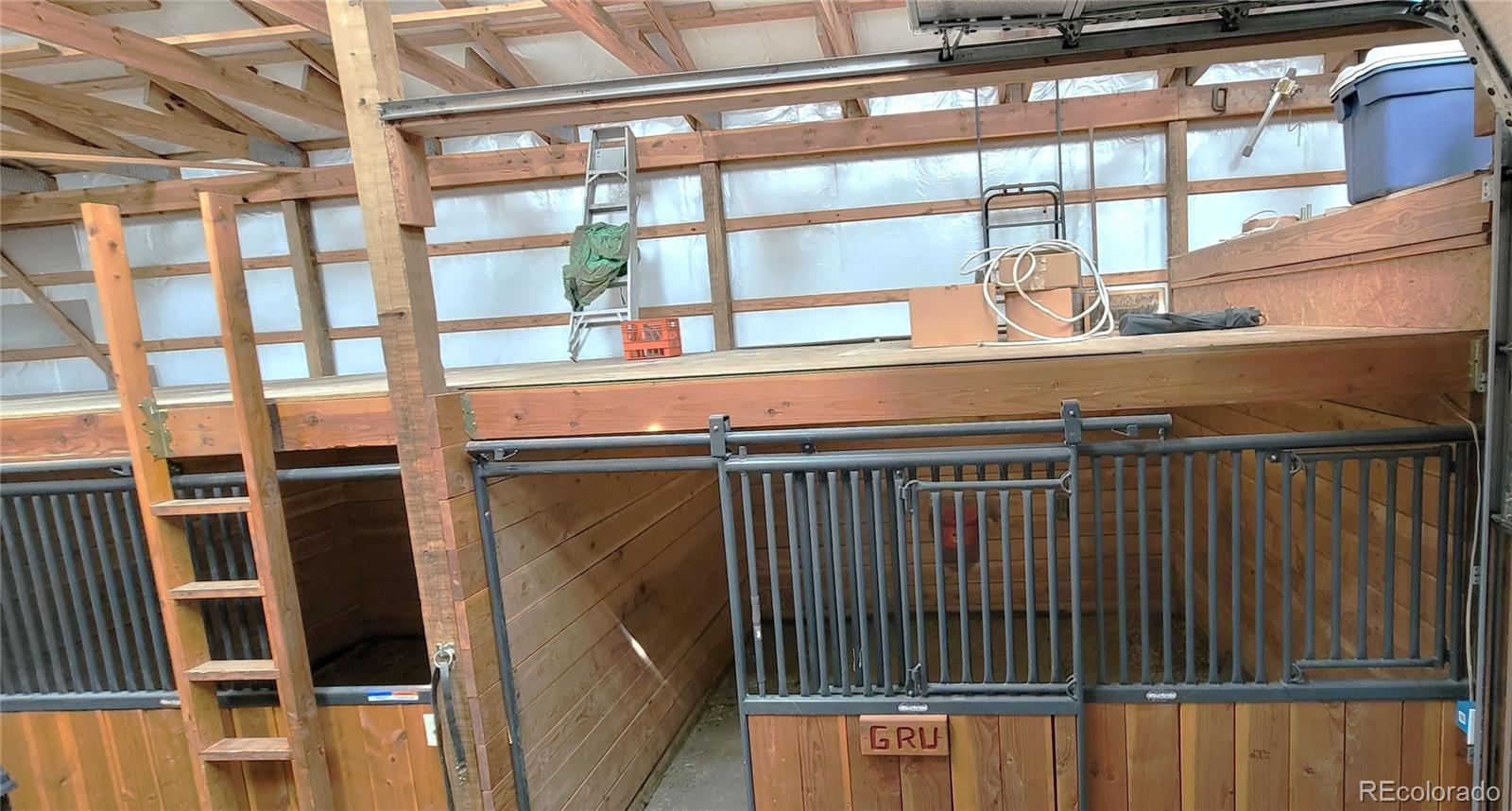 1321 Bristlecone Road Guffey CO 80820