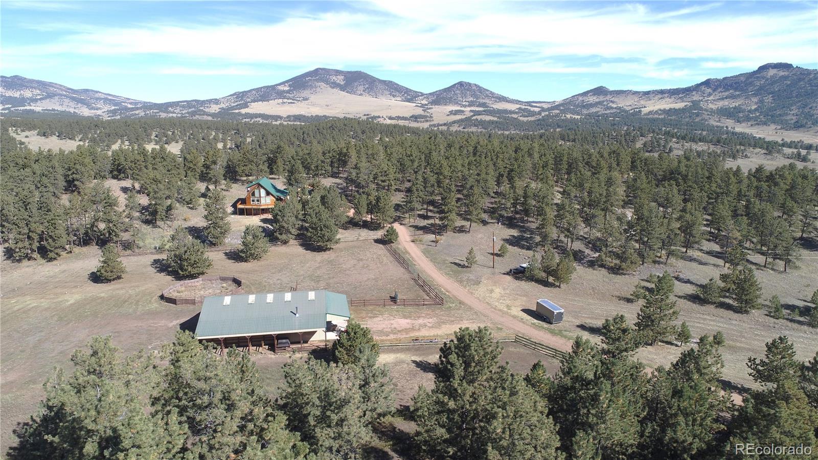 1321 Bristlecone Road Guffey CO 80820