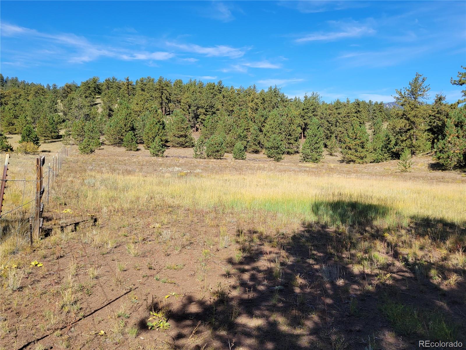 1321 Bristlecone Road Guffey CO 80820