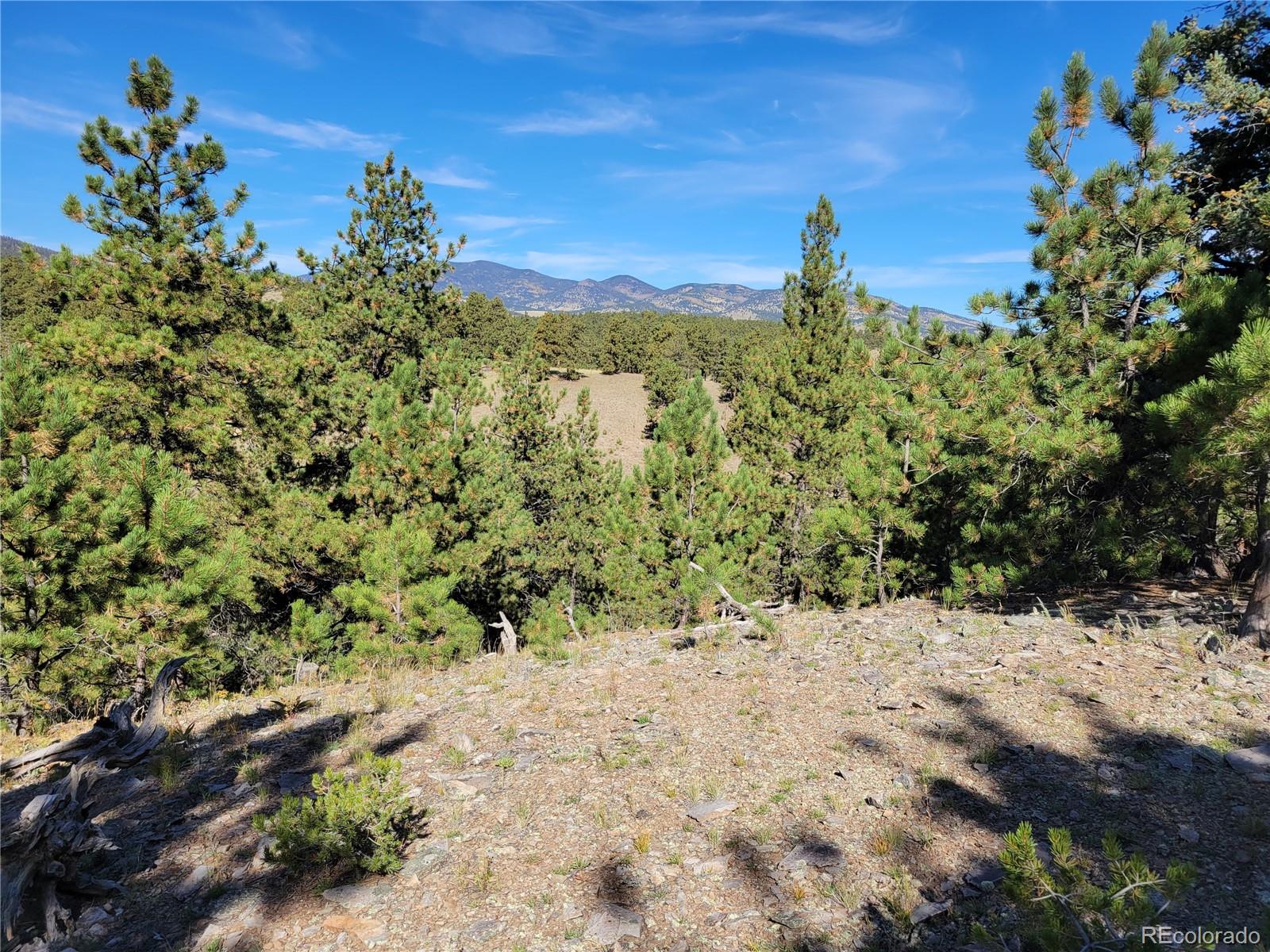 1321 Bristlecone Road Guffey CO 80820