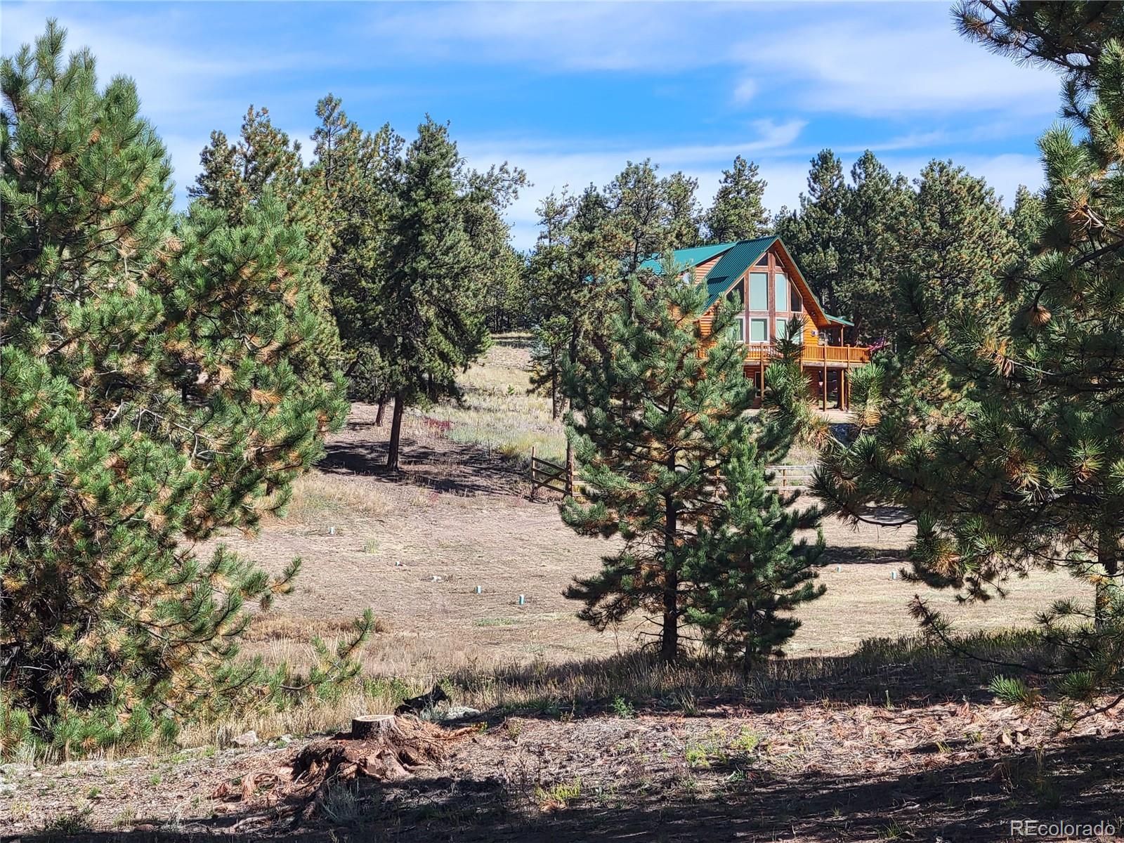1321 Bristlecone Road Guffey CO 80820