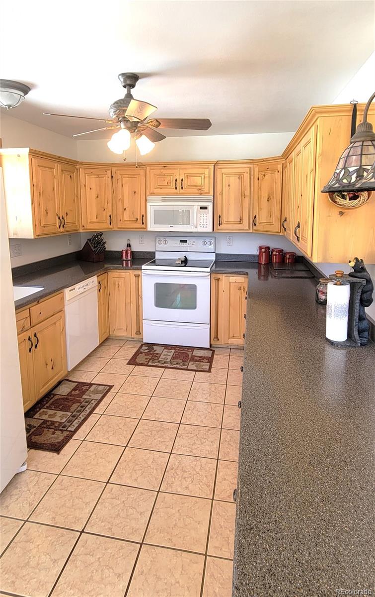1321 Bristlecone Road Guffey CO 80820