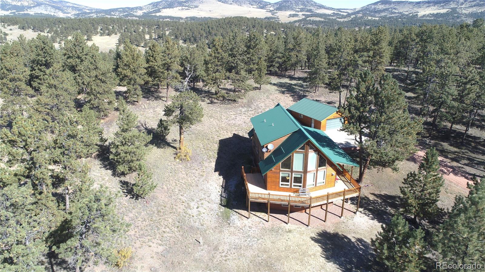 1321 Bristlecone Road Guffey CO 80820
