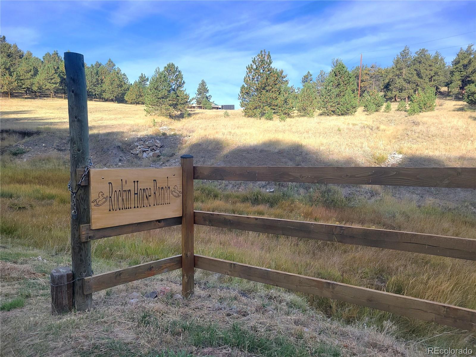 1321 Bristlecone Road Guffey CO 80820
