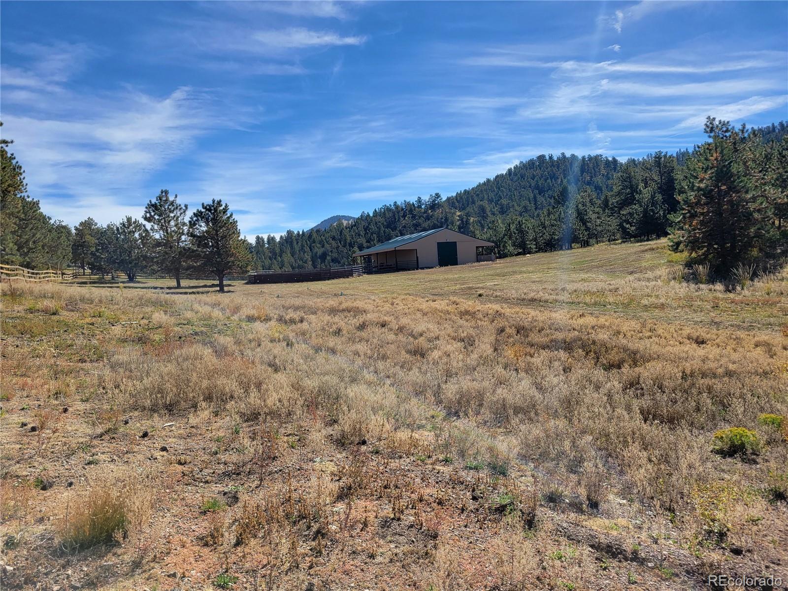 1321 Bristlecone Road Guffey CO 80820