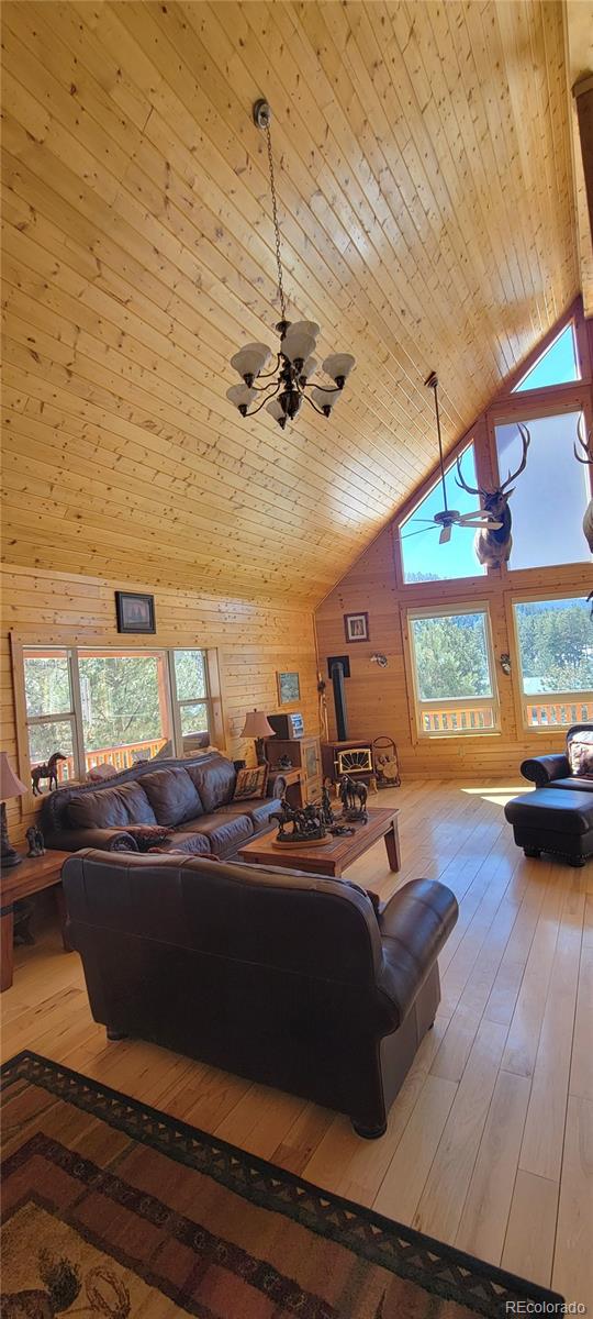 1321 Bristlecone Road Guffey CO 80820
