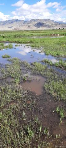 51781 County Road X Saguache CO 81149