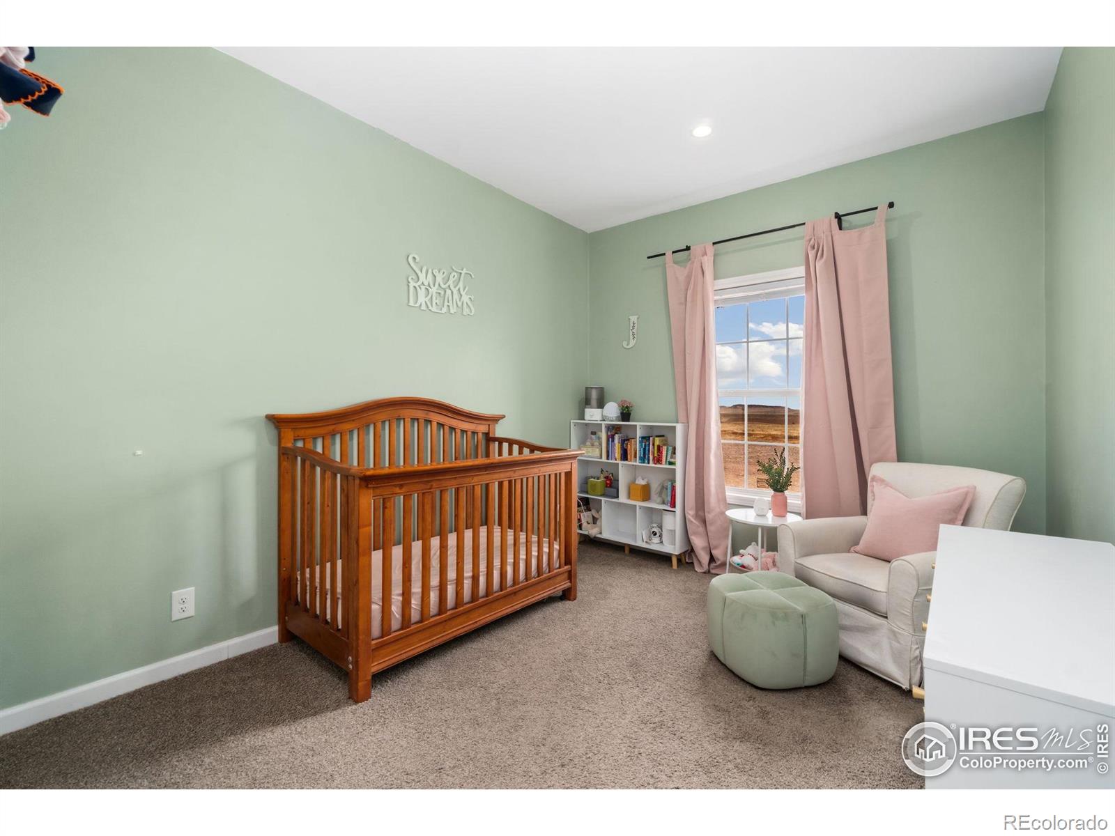 62223 County Road 17 Carr CO 80612