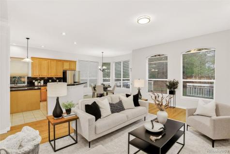 294 Sylvestor Place Highlands Ranch CO 80129