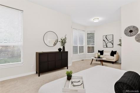 294 Sylvestor Place Highlands Ranch CO 80129