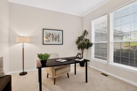 294 Sylvestor Place Highlands Ranch CO 80129