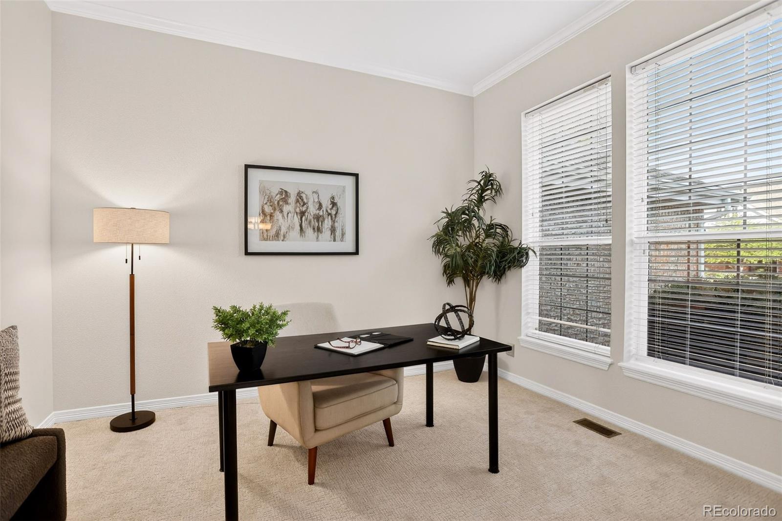 294 Sylvestor Place Highlands Ranch CO 80129