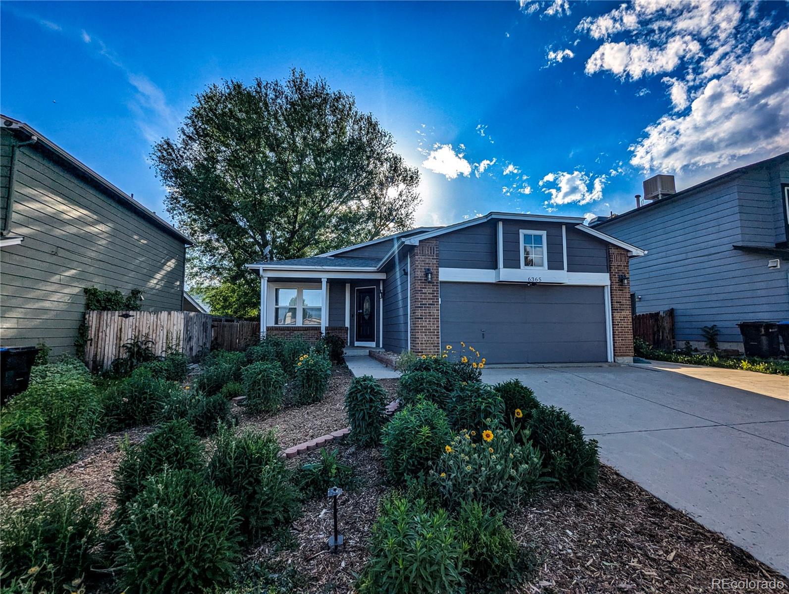 6365 Xavier Court Arvada CO 80003