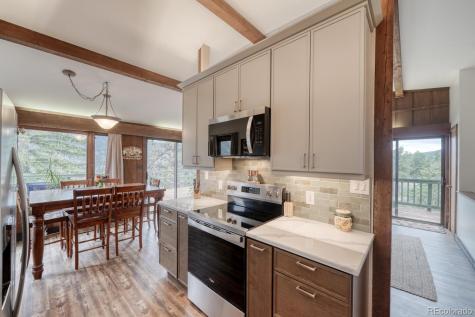 37820 Twin Kopie Drive Buena Vista CO 81211