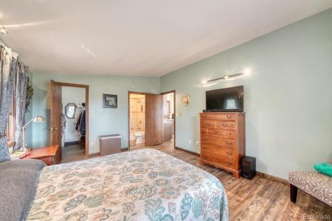 37820 Twin Kopie Drive Buena Vista CO 81211