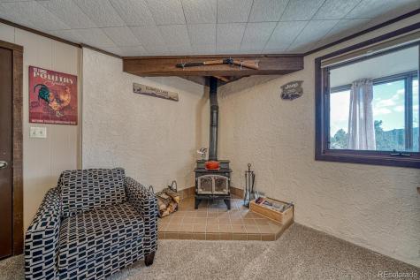 37820 Twin Kopie Drive Buena Vista CO 81211