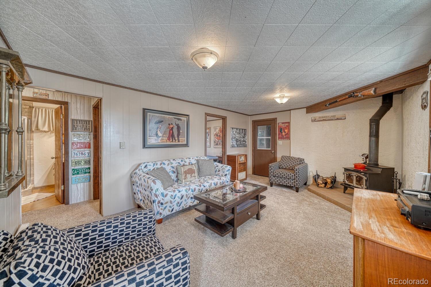 37820 Twin Kopie Drive Buena Vista CO 81211