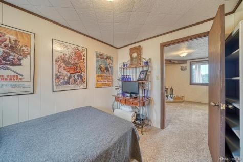 37820 Twin Kopie Drive Buena Vista CO 81211