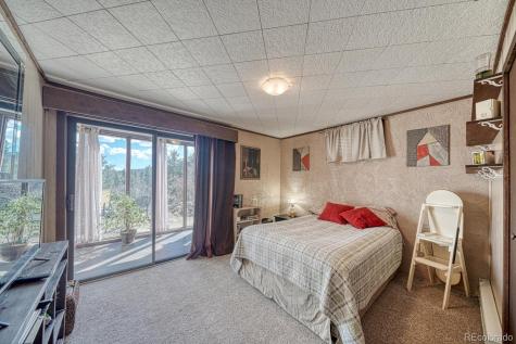 37820 Twin Kopie Drive Buena Vista CO 81211