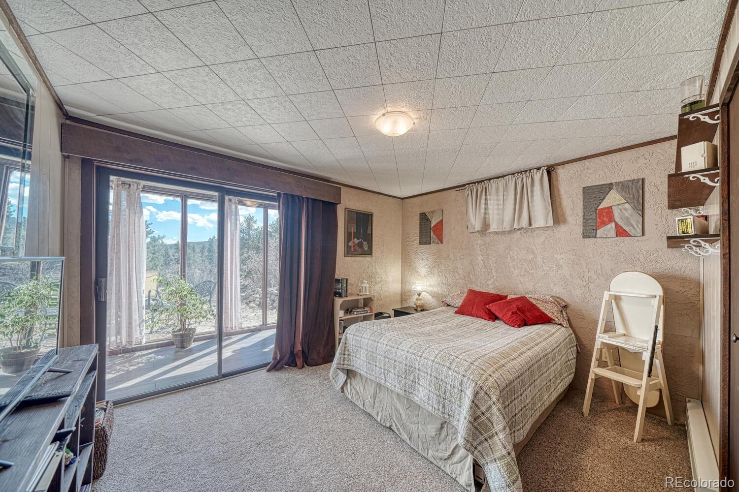 37820 Twin Kopie Drive Buena Vista CO 81211