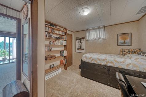 37820 Twin Kopie Drive Buena Vista CO 81211