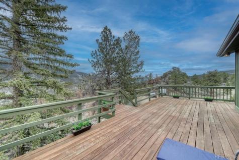 37820 Twin Kopie Drive Buena Vista CO 81211