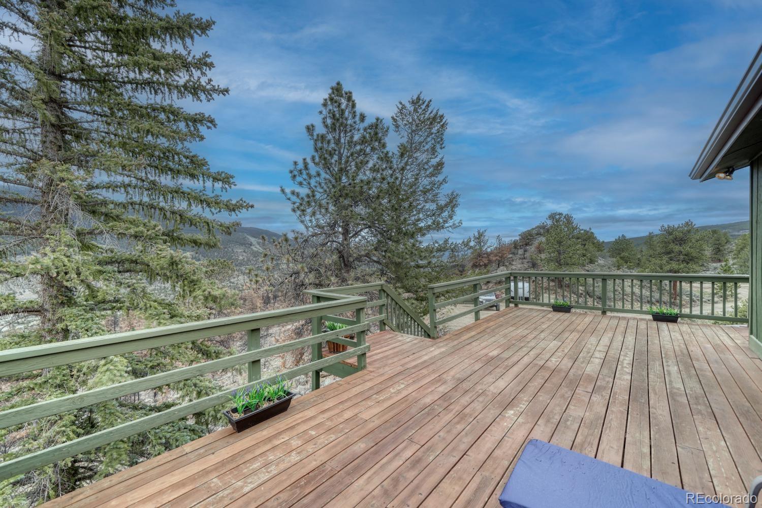 37820 Twin Kopie Drive Buena Vista CO 81211
