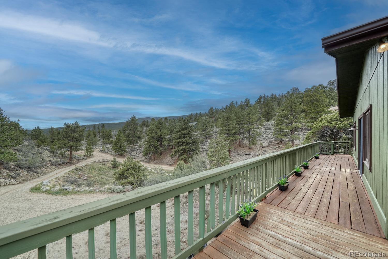 37820 Twin Kopie Drive Buena Vista CO 81211