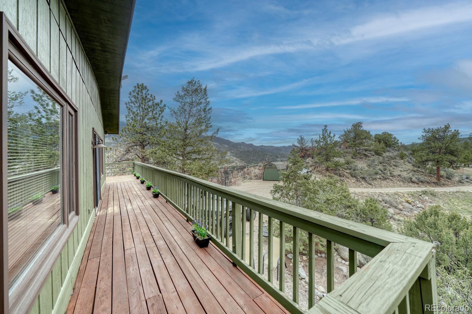 37820 Twin Kopie Drive Buena Vista CO 81211