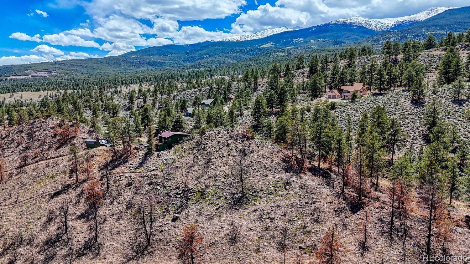 37820 Twin Kopie Drive Buena Vista CO 81211