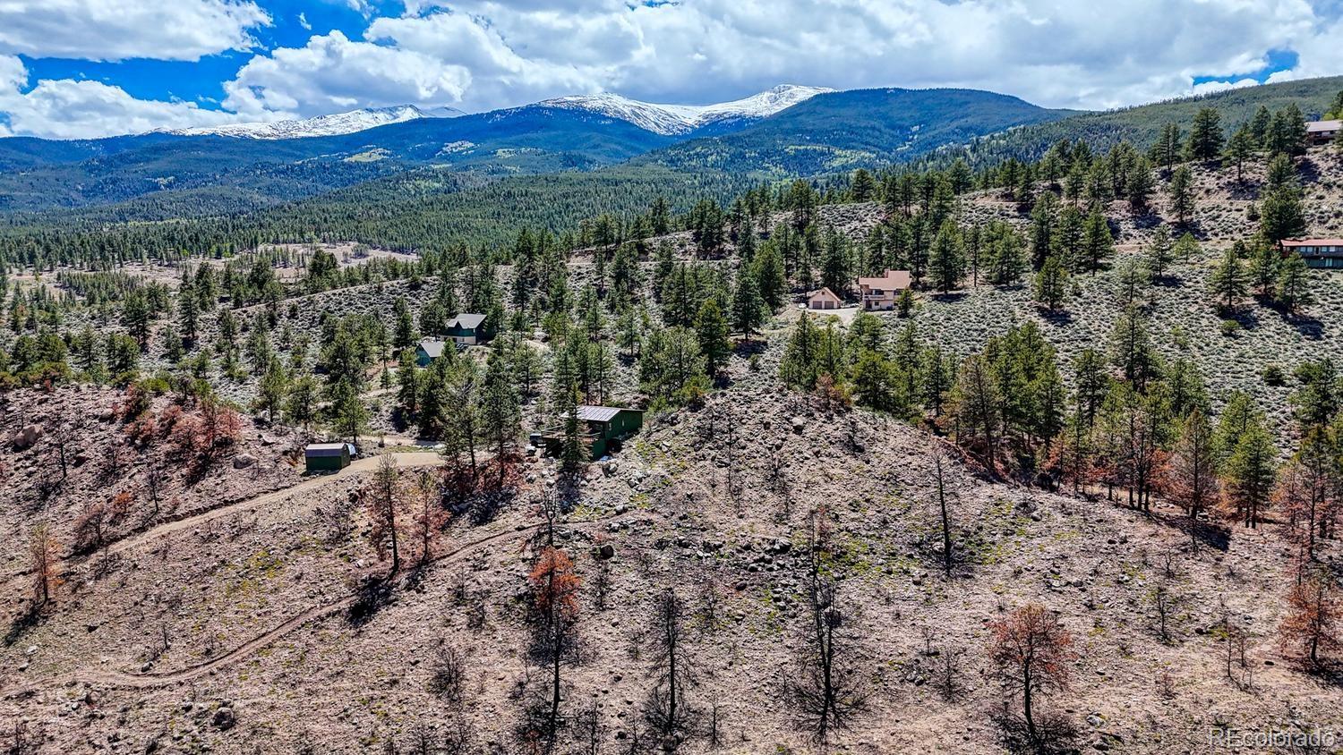 37820 Twin Kopie Drive Buena Vista CO 81211