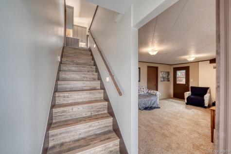 37820 Twin Kopie Drive Buena Vista CO 81211