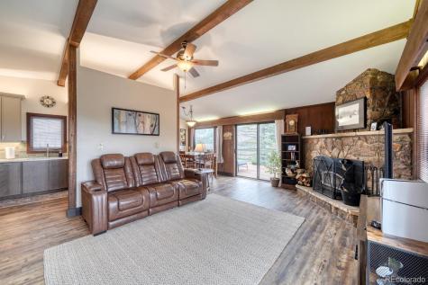 37820 Twin Kopie Drive Buena Vista CO 81211
