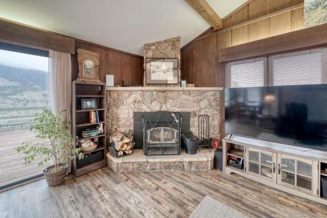 37820 Twin Kopie Drive Buena Vista CO 81211