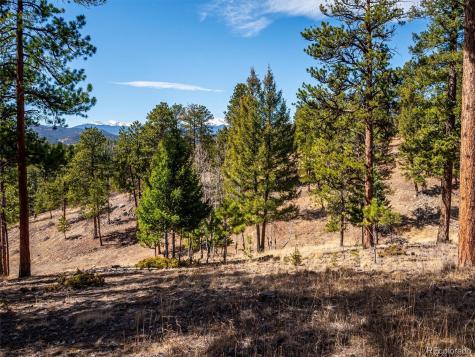 13623 S Wamblee Valley Road Conifer CO 80433